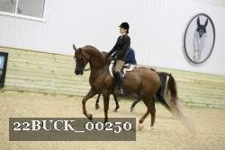 22BUCK_00250 proof
