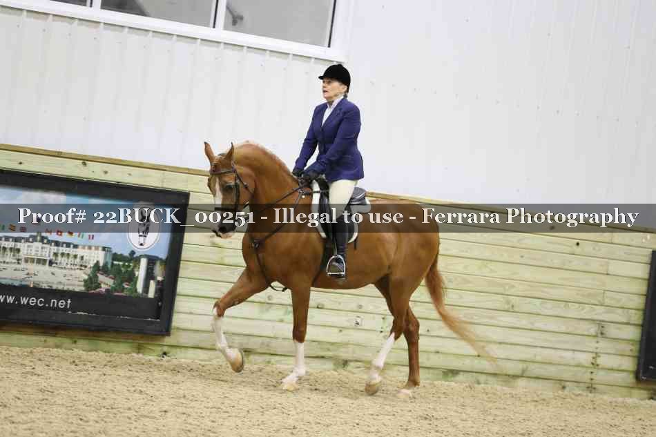 Proof 22BUCK_00251