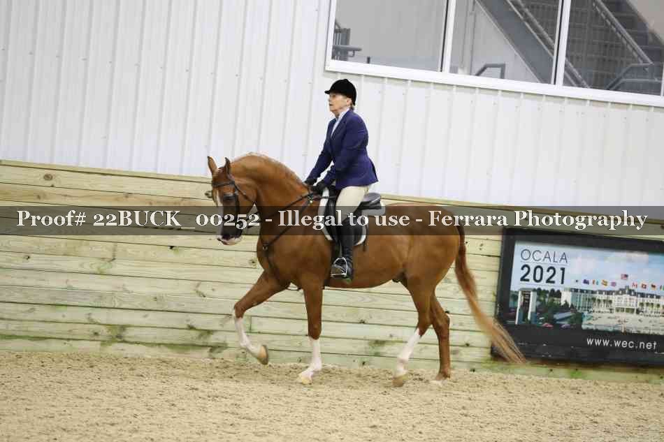 Proof 22BUCK_00252
