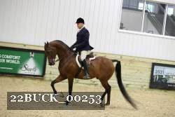 22BUCK_00253 proof