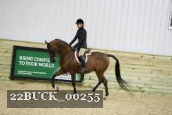 22BUCK_00255 proof
