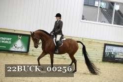 22BUCK_00256 proof