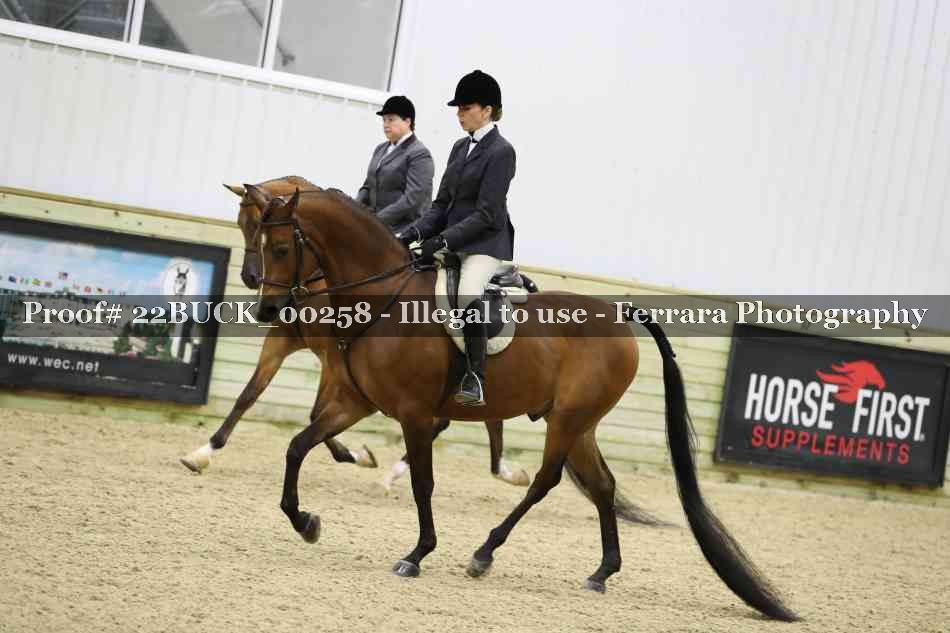 Proof 22BUCK_00258