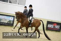 22BUCK_00258 proof