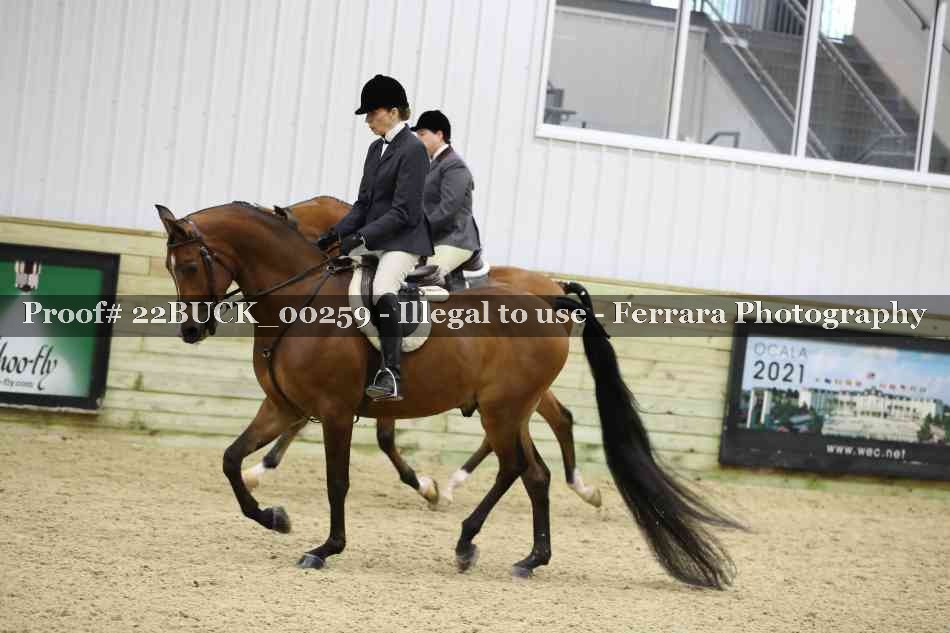 Proof 22BUCK_00259