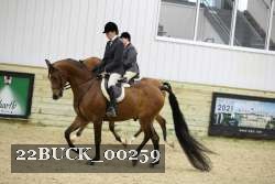 22BUCK_00259 proof
