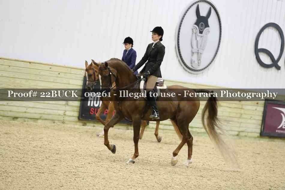 Proof 22BUCK_00261
