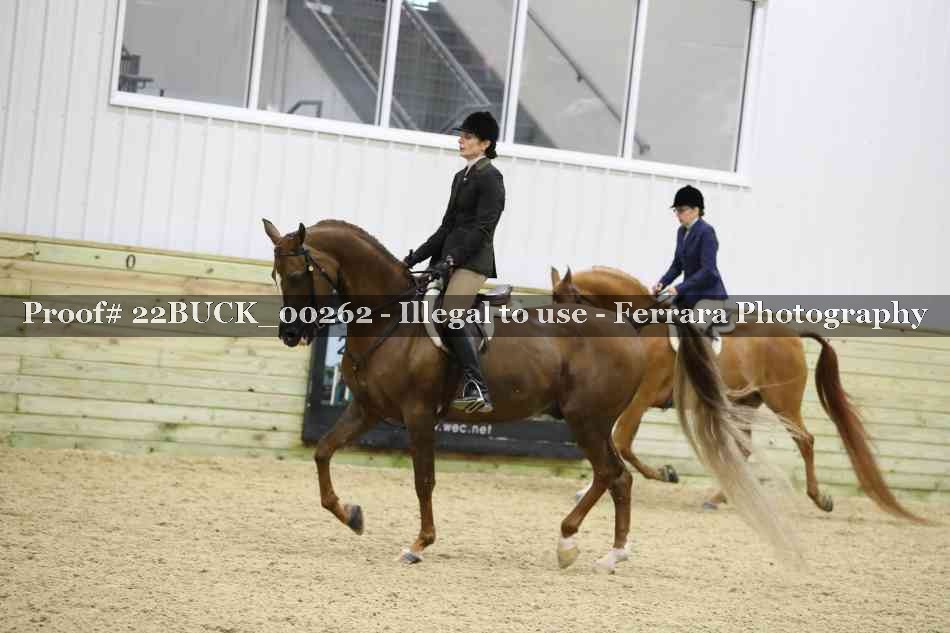 Proof 22BUCK_00262