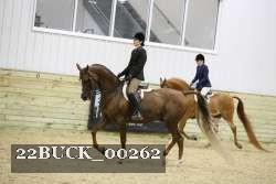 22BUCK_00262 proof