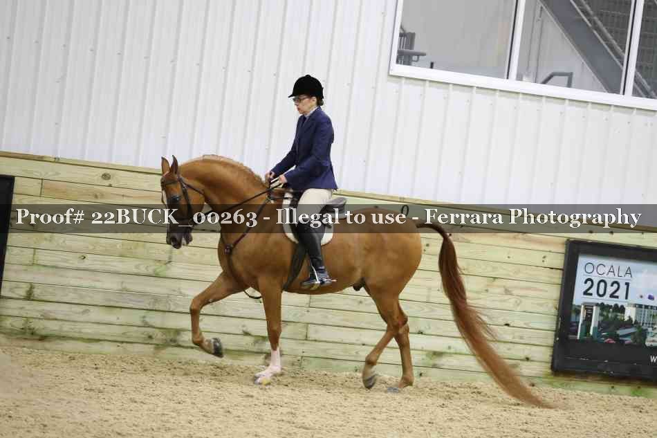 Proof 22BUCK_00263