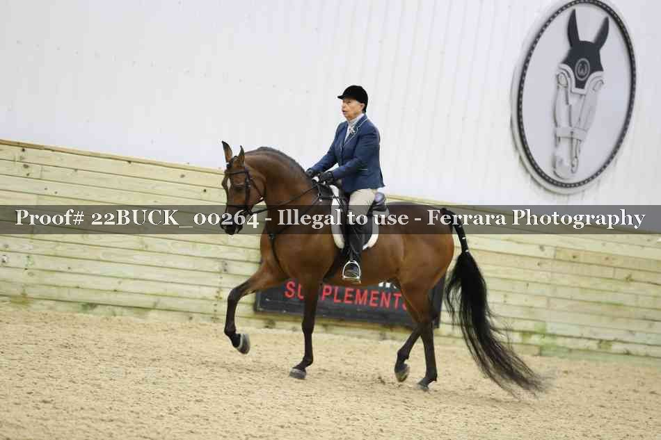 Proof 22BUCK_00264