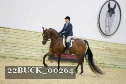 22BUCK_00264 proof