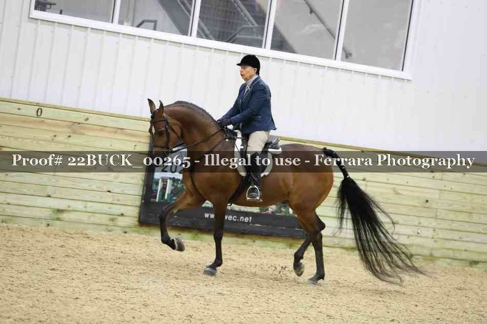 Proof 22BUCK_00265
