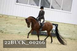 22BUCK_00266 proof