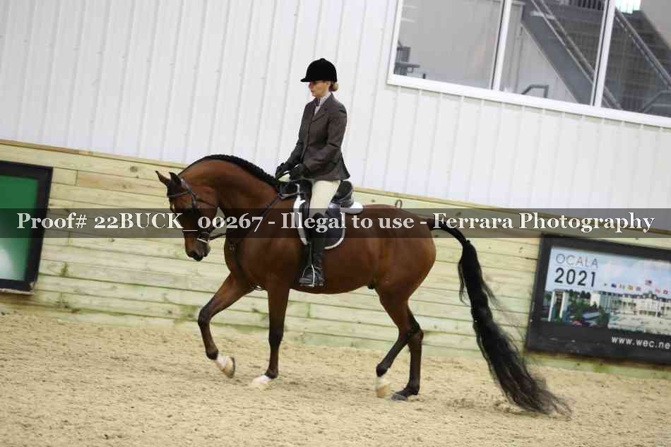 Proof 22BUCK_00267