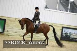 22BUCK_00267 proof