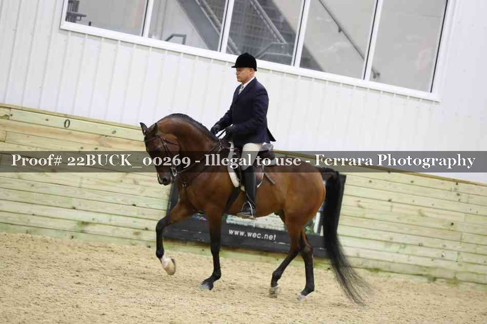 Proof 22BUCK_00269