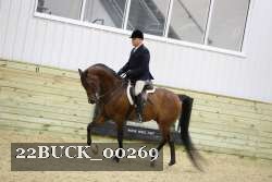 22BUCK_00269 proof