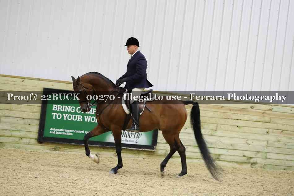 Proof 22BUCK_00270