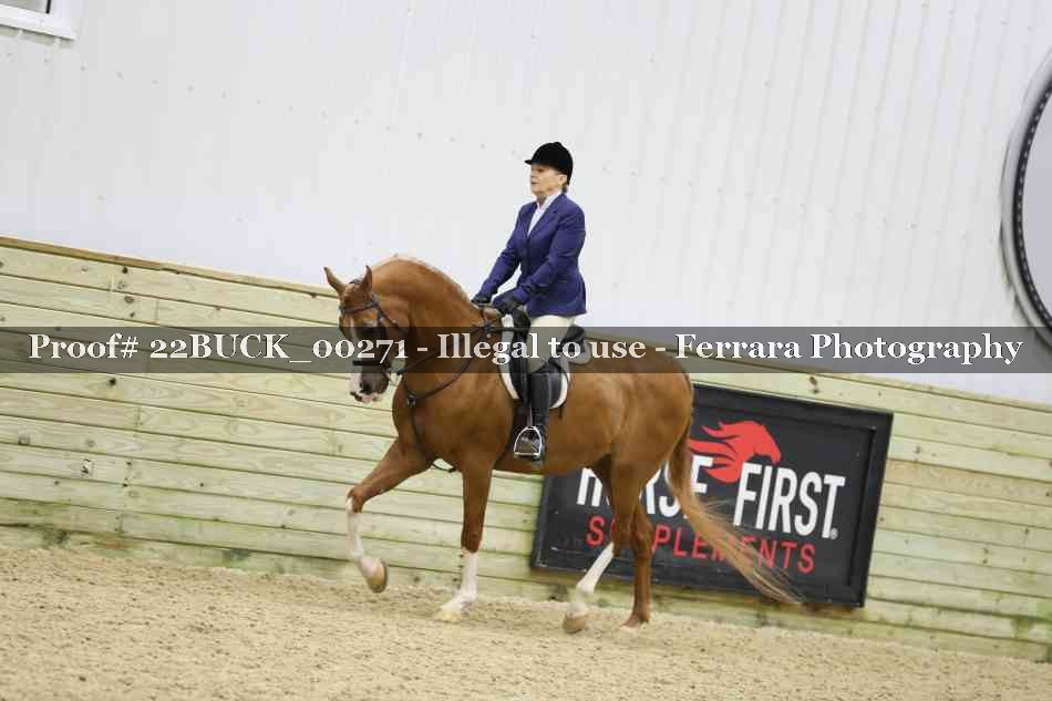 Proof 22BUCK_00271