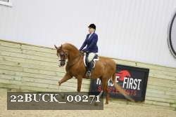 22BUCK_00271 proof