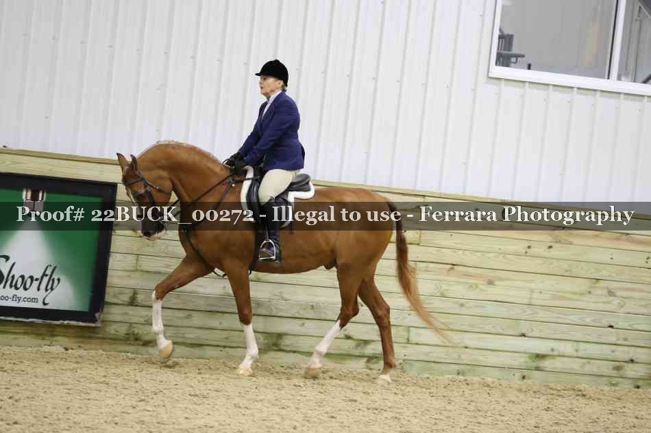 Proof 22BUCK_00272