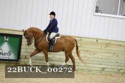 22BUCK_00272 proof