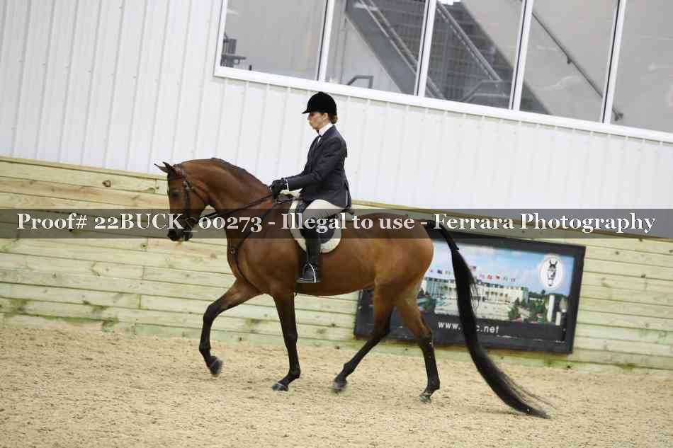 Proof 22BUCK_00273