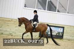 22BUCK_00273 proof