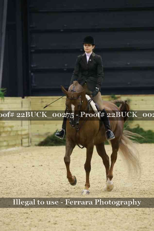 Proof 22BUCK_00275
