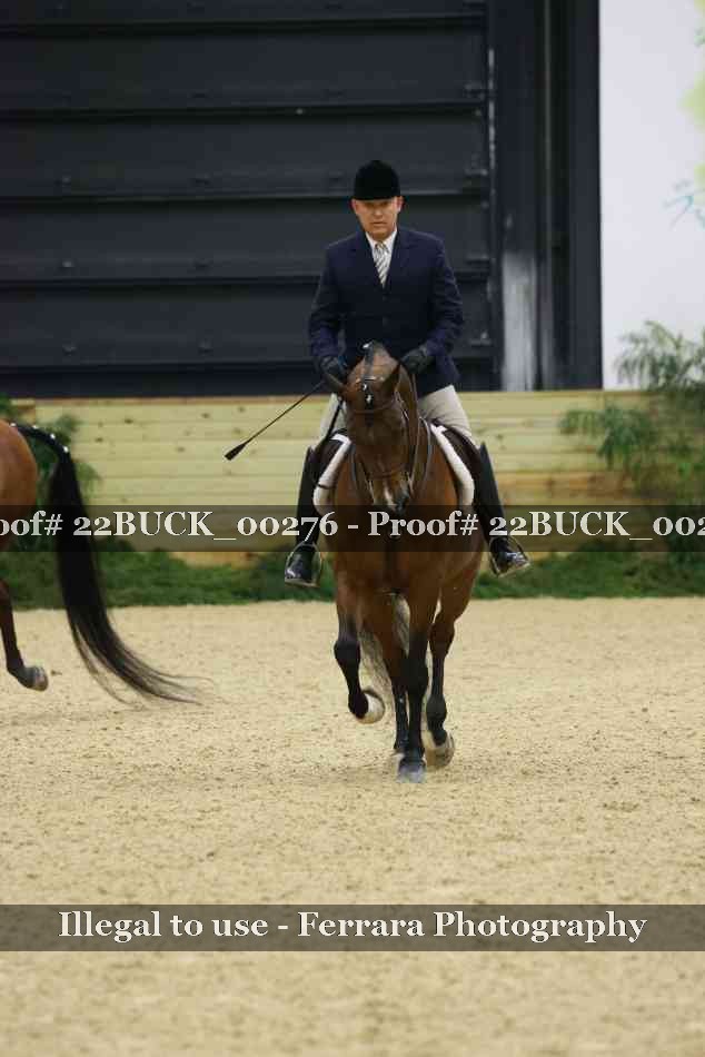 Proof 22BUCK_00276
