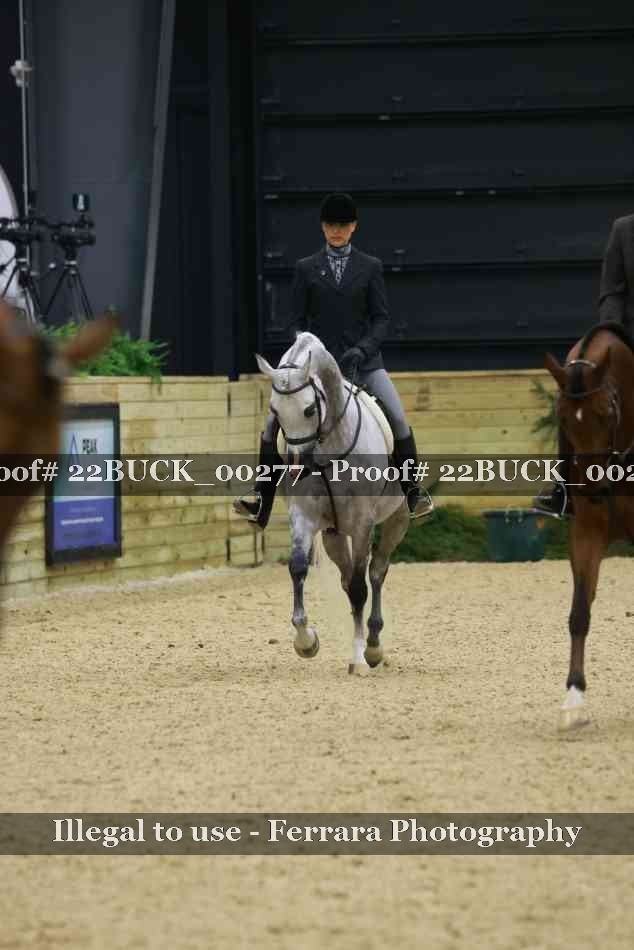 Proof 22BUCK_00277