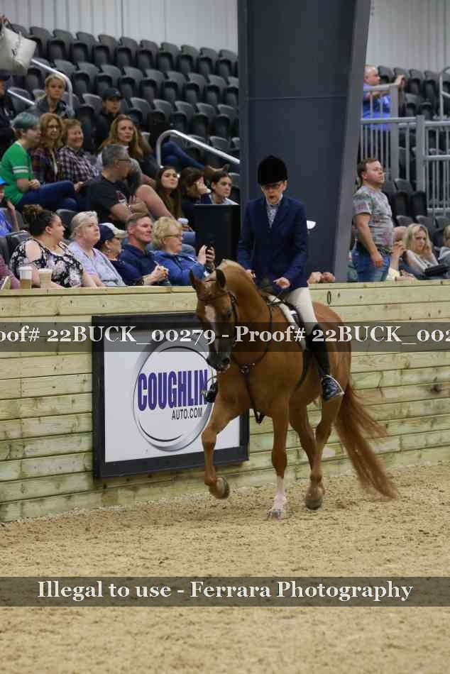 Proof 22BUCK_00279
