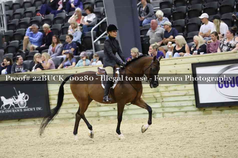 Proof 22BUCK_00280