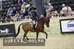 22BUCK_00280 proof