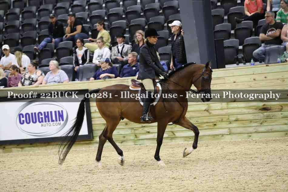 Proof 22BUCK_00281