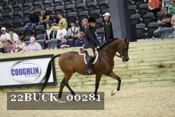22BUCK_00281 proof