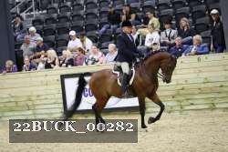 22BUCK_00282 proof