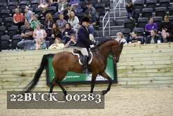22BUCK_00283 proof