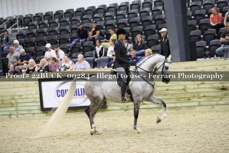 Proof 22BUCK_00284