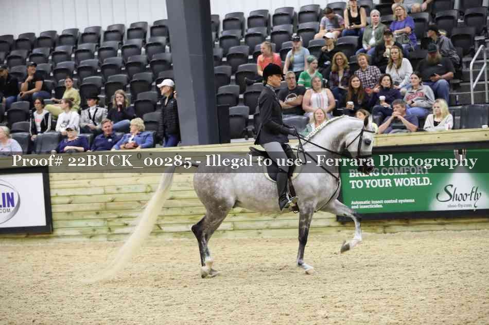 Proof 22BUCK_00285