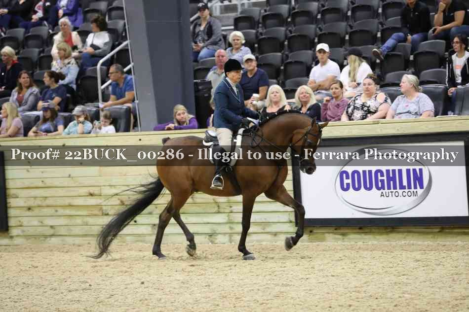 Proof 22BUCK_00286