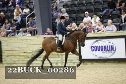 22BUCK_00286 proof
