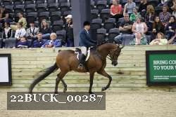 22BUCK_00287 proof