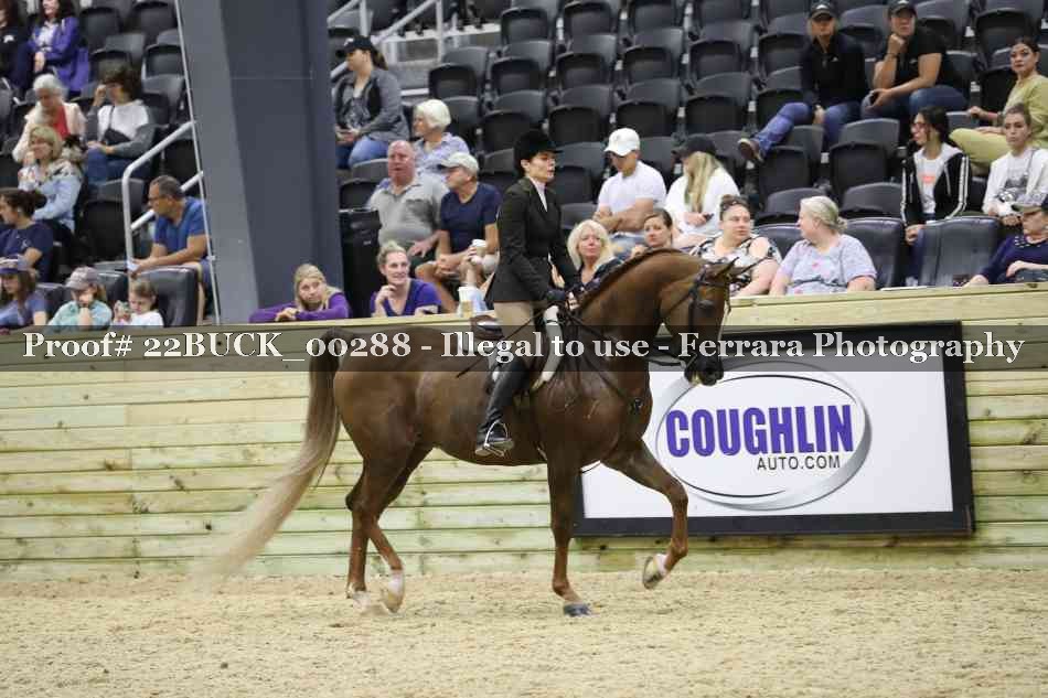 Proof 22BUCK_00288