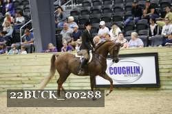 22BUCK_00288 proof