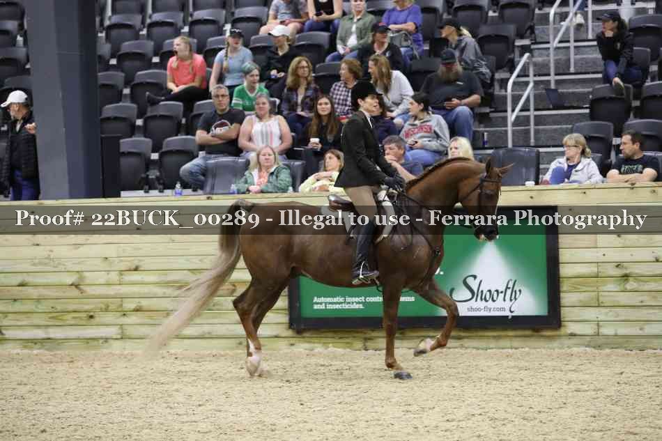 Proof 22BUCK_00289