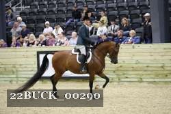 22BUCK_00290 proof