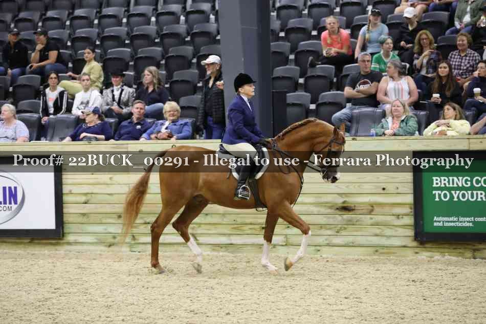 Proof 22BUCK_00291