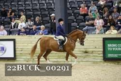 22BUCK_00291 proof